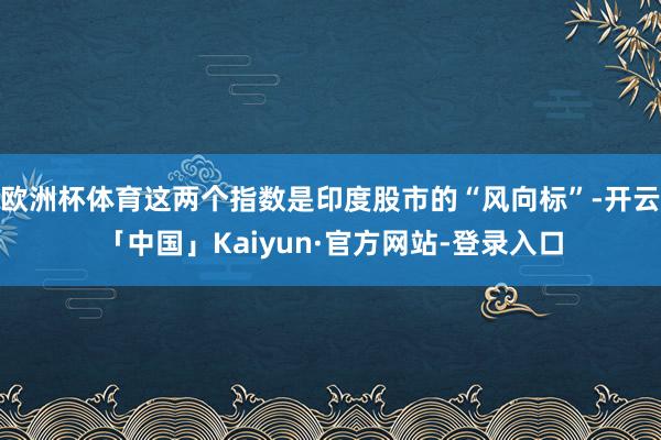 欧洲杯体育这两个指数是印度股市的“风向标”-开云「中国」Kaiyun·官方网站-登录入口