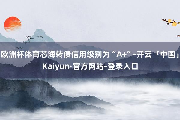 欧洲杯体育芯海转债信用级别为“A+”-开云「中国」Kaiyun·官方网站-登录入口