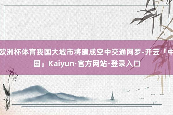 欧洲杯体育我国大城市将建成空中交通网罗-开云「中国」Kaiyun·官方网站-登录入口