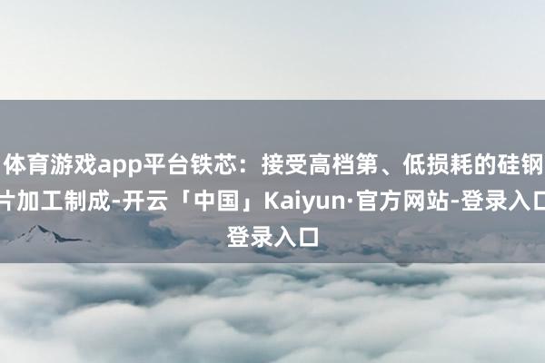 体育游戏app平台铁芯：接受高档第、低损耗的硅钢片加工制成-开云「中国」Kaiyun·官方网站-登录入口